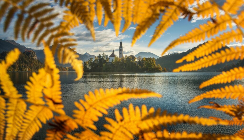 Hidden Gems: Bled, Island