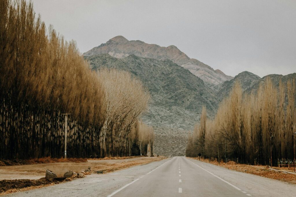 Couple Travel Mendoza